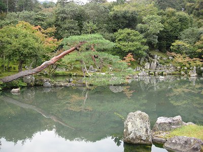 京都観光・・・・。天竜寺編