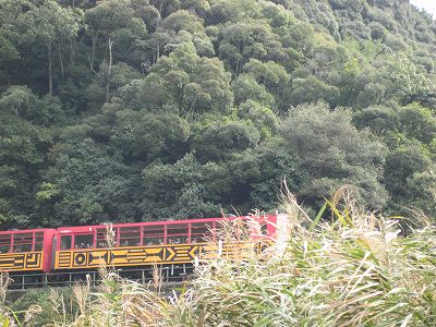 京都観光・・・・。嵯峨編その２