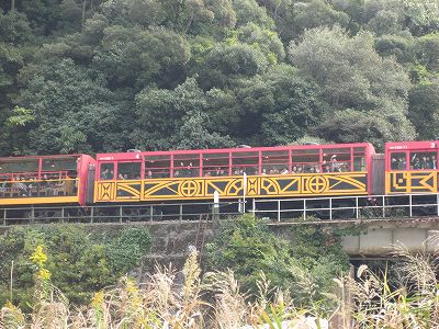 京都観光・・・・。嵯峨編その２