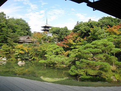 京都観光・・・・。仁和寺編