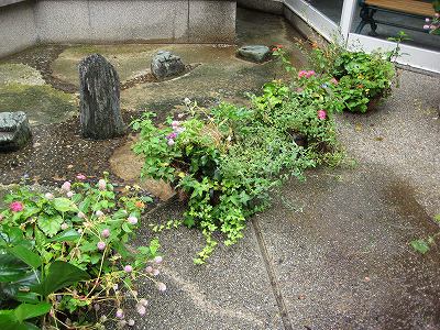 つかしん・・・。最終日