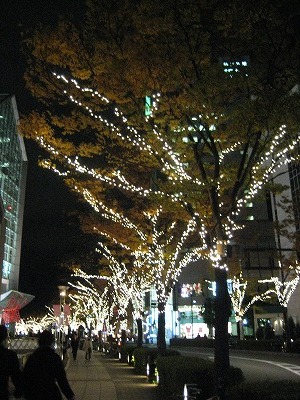 神戸の夜・・・・。つづき