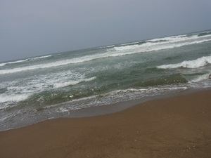 海