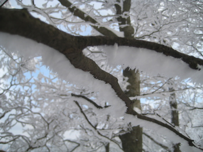 綿向山～竜王山　縦走雪山登山