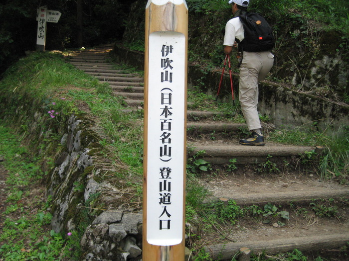 伊吹山登ってきました