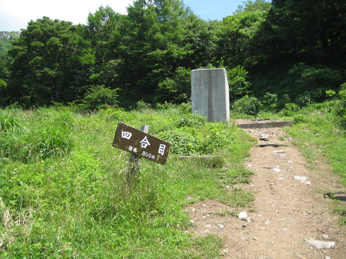 伊吹山登ってきました