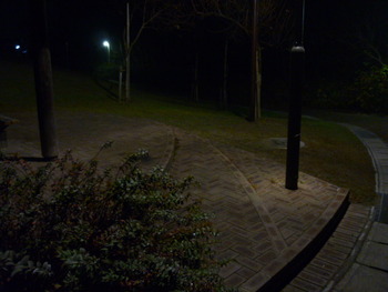 夜の散歩