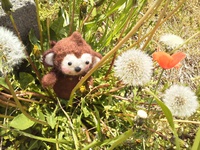 ワークショップ☆地球にマハロ