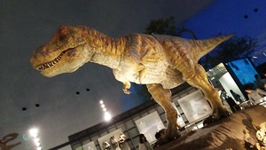 １泊２日　福井の旅