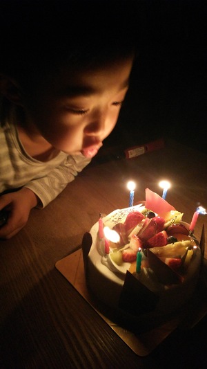 ７歳になりました