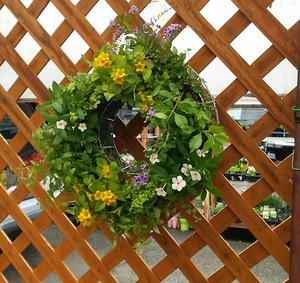 寄せ植え教室　7月の会
