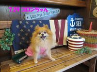 ★ 最終日★　“DOG CAFE” PHOTO GALLERY  7月29日号