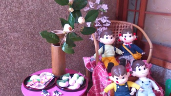 日々のあれこれ、庭の花壇が生まれ変わりました～