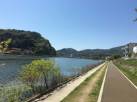 早起きは三文以上の得。 2016/04/20 17:03:23
