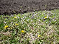 久し振りのチャリ行　②