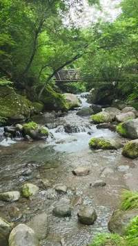 吐竜の滝（北杜市）