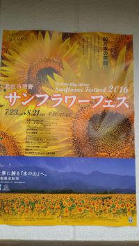 サンフラワーフェス（明野）