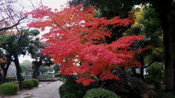 名古屋城