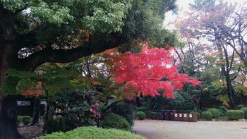 名古屋城
