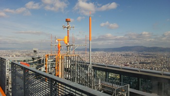 ハルカス300