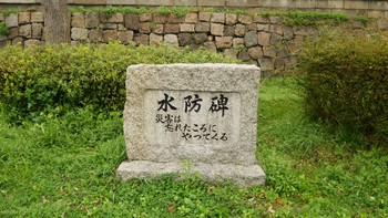 大阪の造幣局の桜