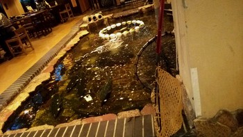 福井★松月