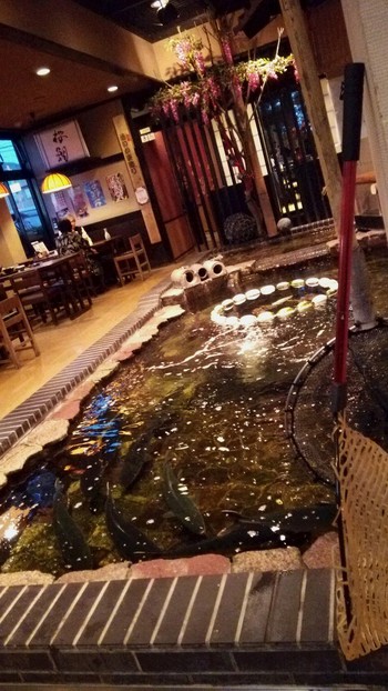 福井★松月