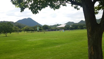 希望ヶ丘