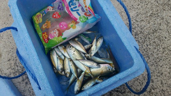 魚釣り♪♪