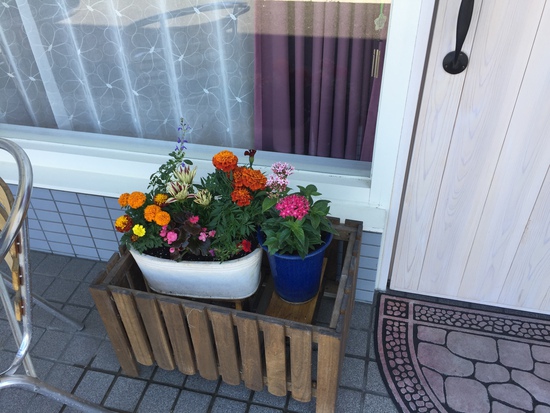 お花！