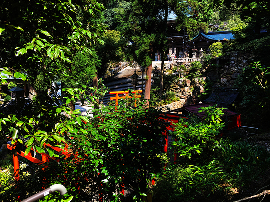 伊奈波神社（写）