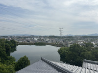 とある日のいい景色！