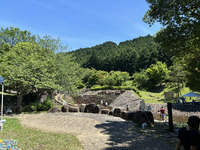 夏だ！川だ！花火だ！