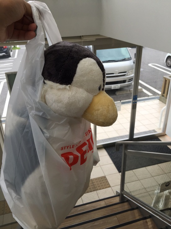 新しい仲間をご紹介♡