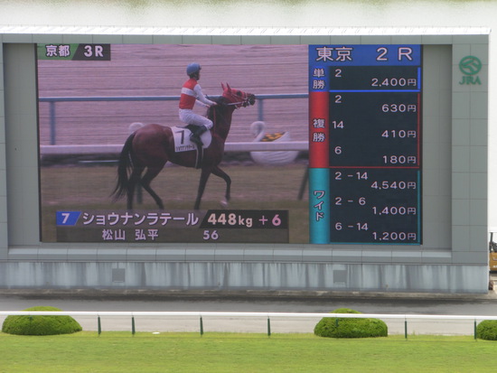 京都競馬場