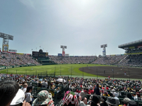 今年もこの時期がやってきた