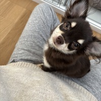初めまして！自己紹介です。