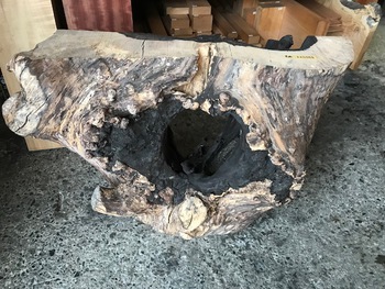 神代楠