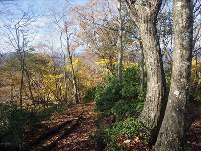 蛇谷ヶ峰山行　②