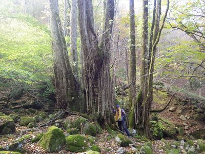 蛇谷ヶ峰山行　②