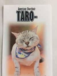 ＴＡＲＯ君帰宅！