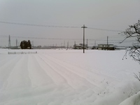 やっと降りましたね！