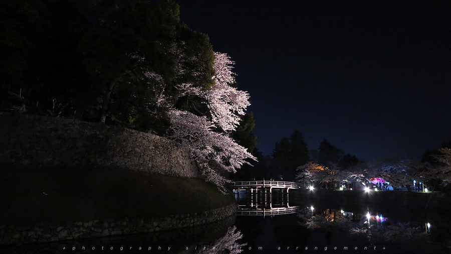 彦根城の桜ライトアップ [G1X] illuminated cherry blossoms japan