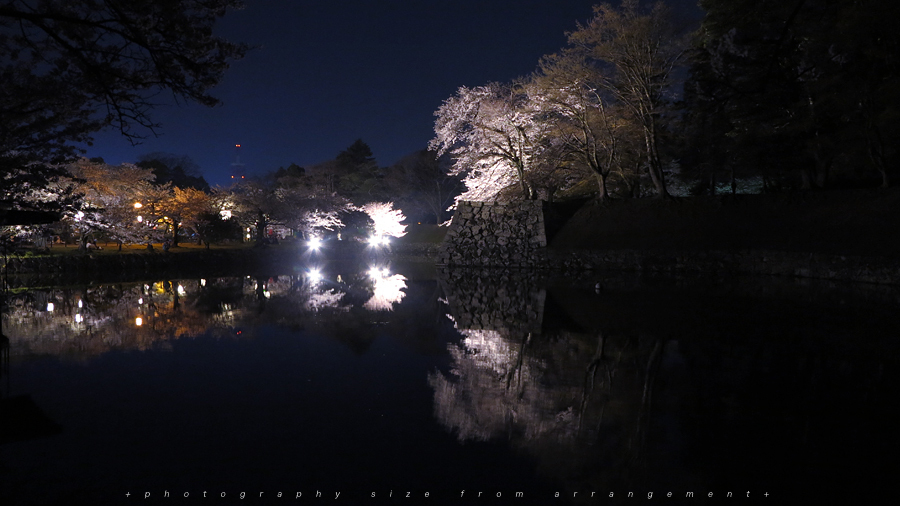 彦根城の桜ライトアップ [G1X] illuminated cherry blossoms japan