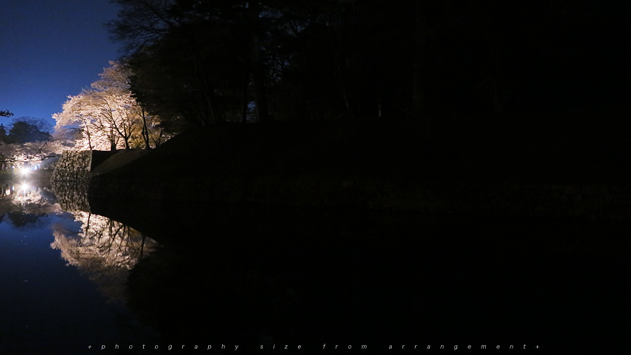 彦根城の桜ライトアップ [G1X] illuminated cherry blossoms japan