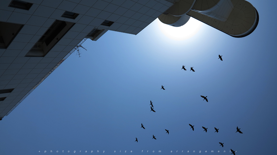 名古屋港[ PowerShot G1X ] port nagoya Harbor area