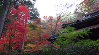 コンデジで風景写真を撮る基本的な設定・方法をメモ。