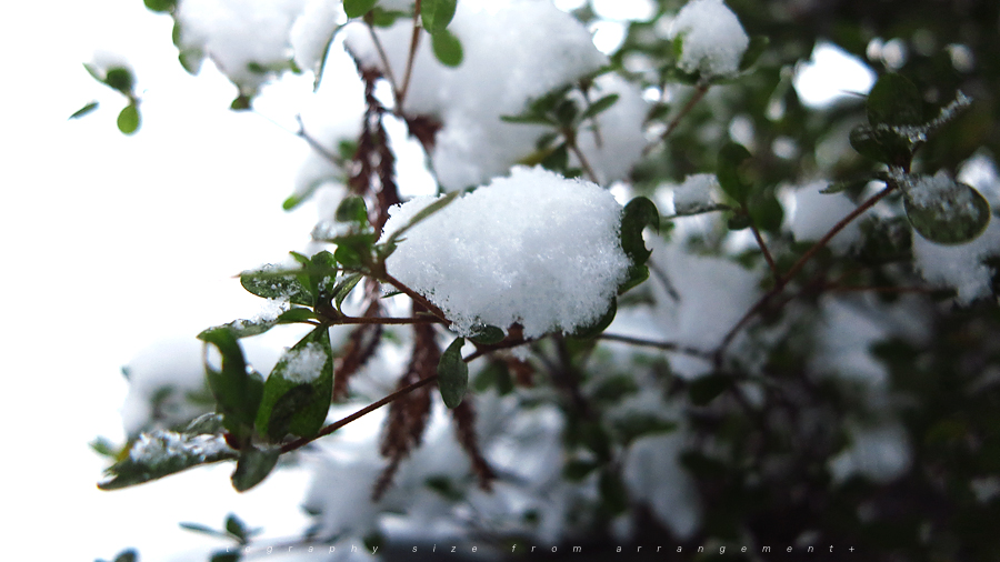 雪[PowerShoto G1X]