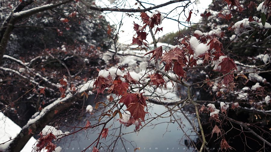 雪[PowerShoto G1X]