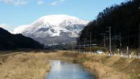 今日は天気が良くて伊吹山が綺麗に見えたのでﾄﾞｸﾀｰｲｴﾛｰを撮りに行ってきました。